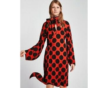 Zara podka dress long sleeves